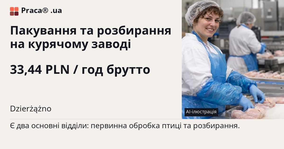 Пакування та розбирання на курячому заводі. 33,44 PLN / год брутто. . Житло надається, Contract of mandate