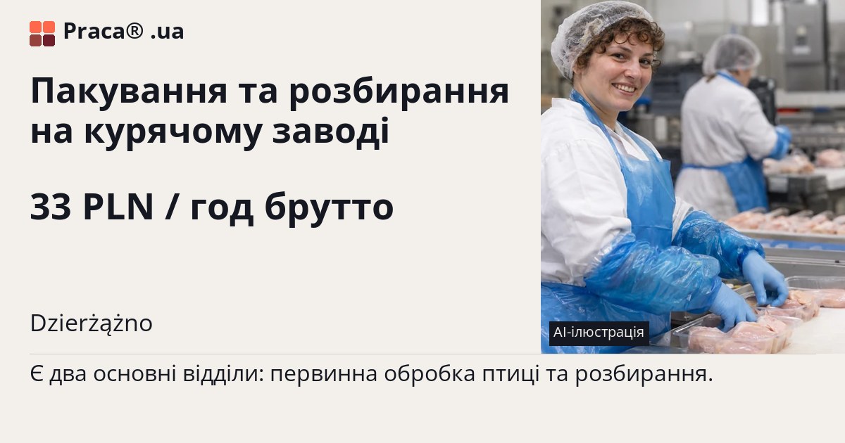 Пакування та розбирання на курячому заводі. 33 PLN / год брутто. . Житло надається, Договір доручення (umowa zlecenie)