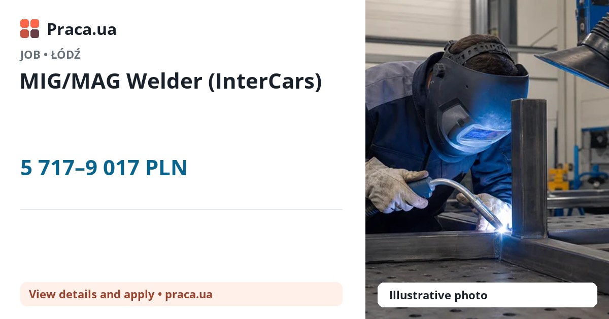 MIG/MAG Welder (InterCars). 5 717–9 017 PLN. . 
