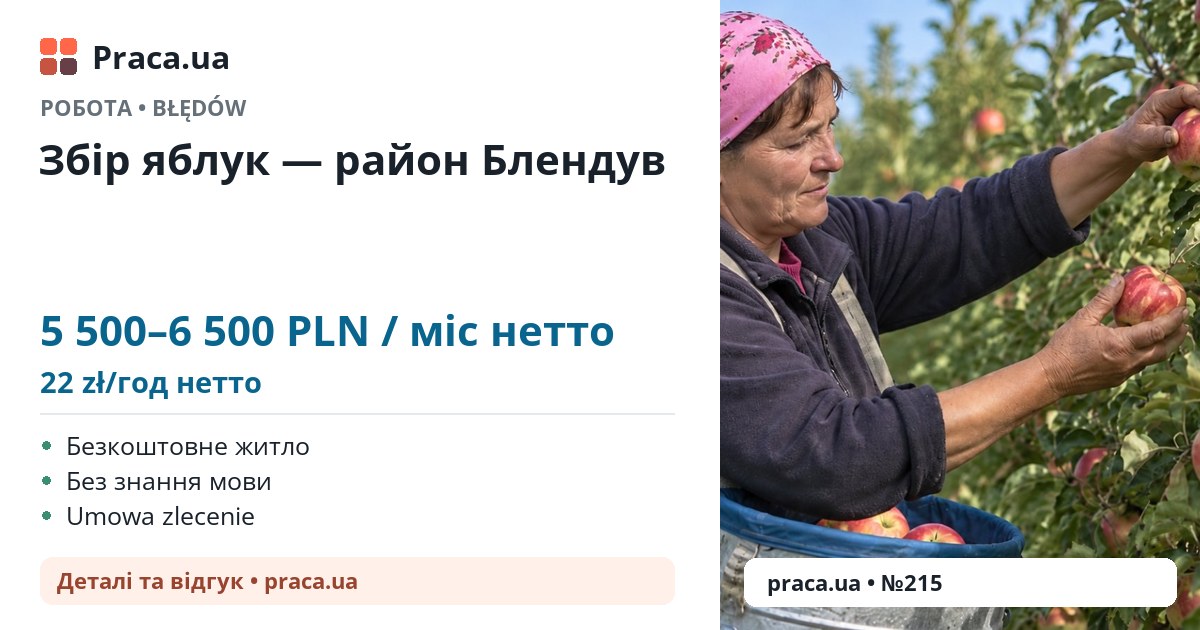 Збір яблук — район Блендув. 5 500–6 500 PLN / міс нетто. 22 zł/год нетто. Безкоштовне житло, Без знання мови, Umowa zlecenie