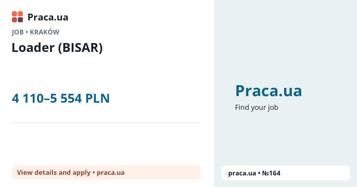 Loader (BISAR). 4 110–5 554 PLN. . 
