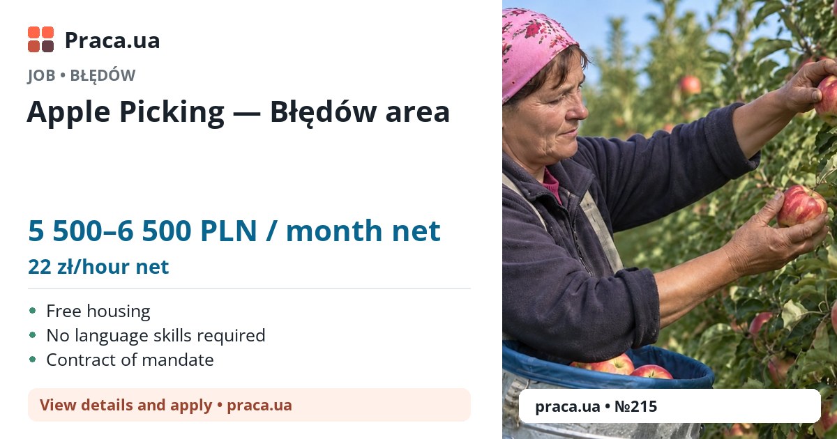 Apple Picking — Błędów area. 5 500–6 500 PLN / month net. 22 zł/hour net. Free housing, No language skills required, Contract of mandate